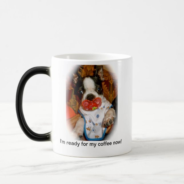 Mágica Filhote de cachorro de Boston com caneca de Binky (Esquerda)