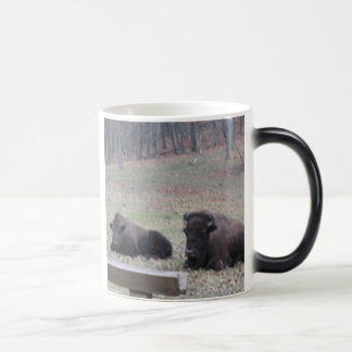 Mágica Quente ou frio? Caneca