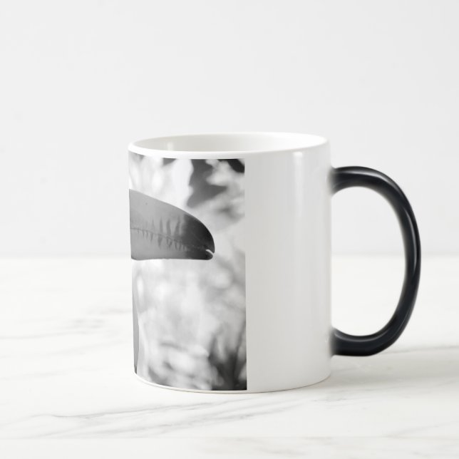 Mágica Toucan Morph a caneca (Direita)