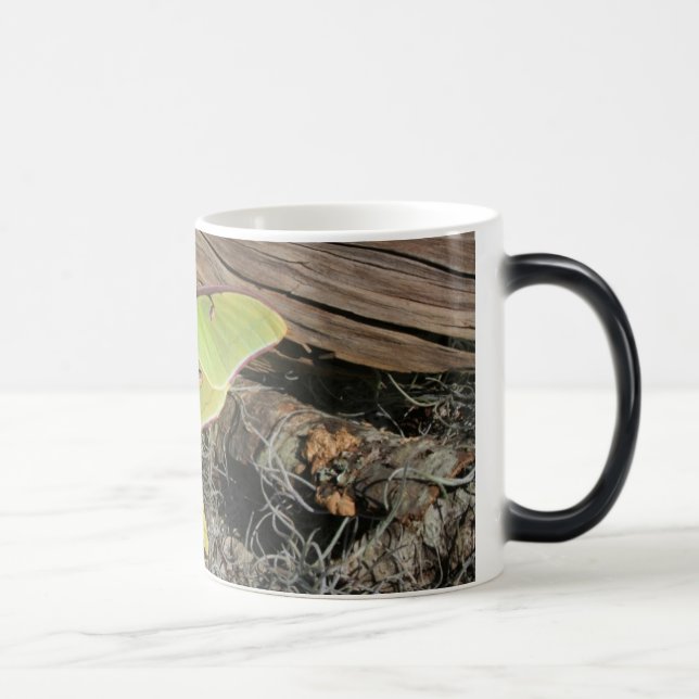 Mágica Traça de Luna em uma caneca Morphing (Direita)