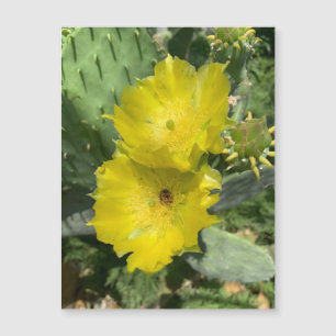 Magnet de Flores de Cactus Bloqueando
