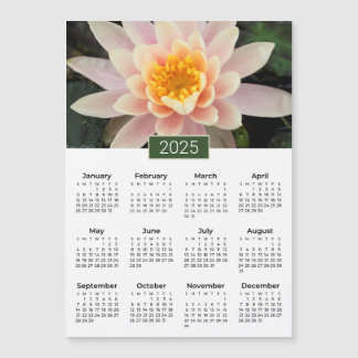 Magnet De Fotografia Da Lily De Água Calendário 20