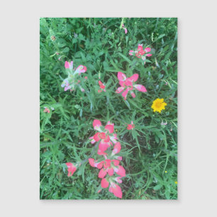 Magnet para Flores Mistas