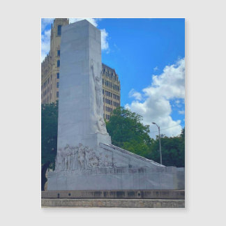 Magneta cenotágrafo