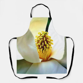 Magnolia Bloom Macro