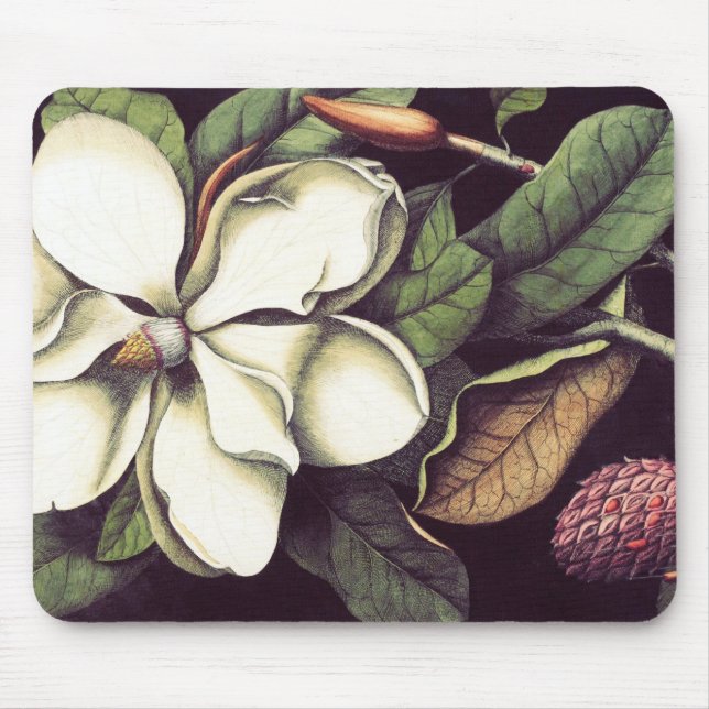 Magnólia branca Mousepad, Mousepads legal (Frente)