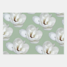 Magnolia em verde