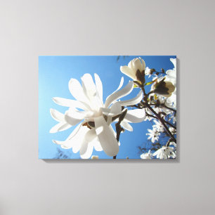 Magnólia Floral Azul Céu Impressões de Arte em Tel