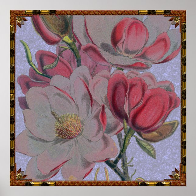 Magnolia Flower Poster (Frente)