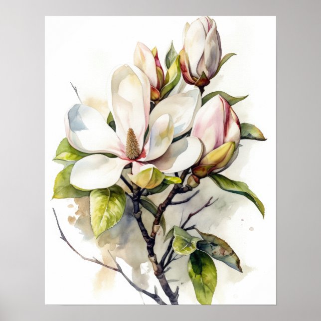 Magnolia Flowers Art Impressão Poster (Frente)