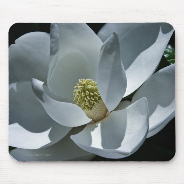 Magnolia Mousepad (Frente)