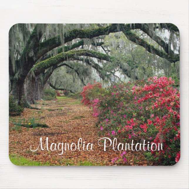 Magnolia Plantation / Charleston SC Mousepad (Frente)