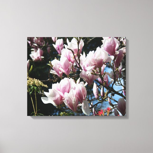 Magnolia Primavera Fotografia Floral Canvas 6 (Frente)