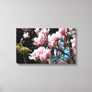 Magnolia Primavera Fotografia Floral Canvas 6