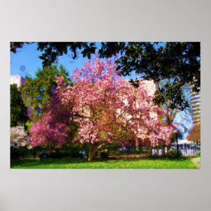 Magnolia Três Poster