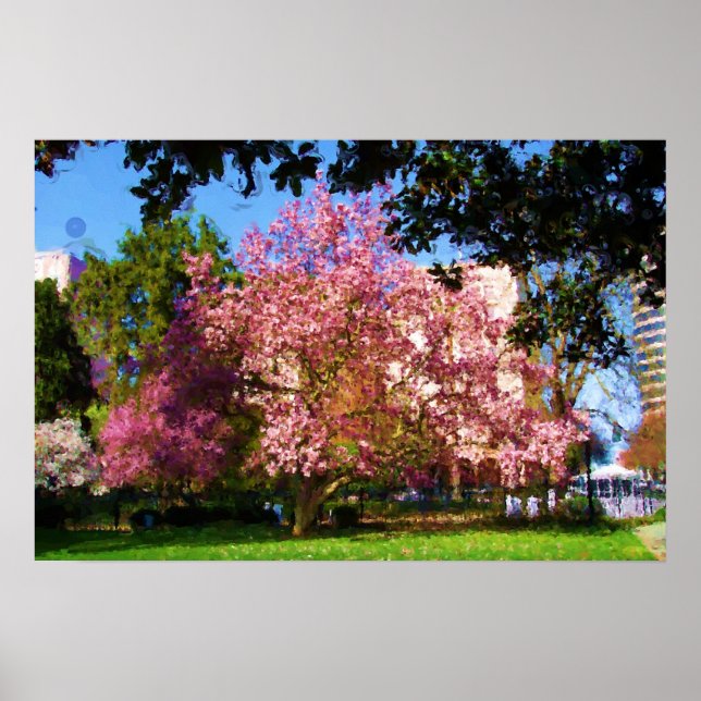 Magnolia Três Poster (Frente)