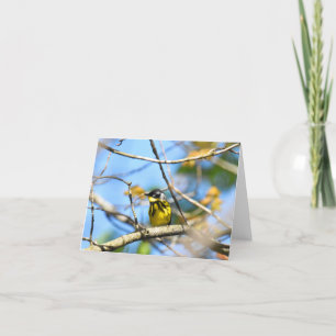 Magnolia Warbler - Cartão de Nota de Vazio