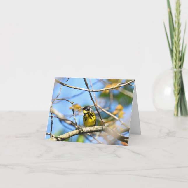 Magnolia Warbler - Cartão de Nota de Vazio (Frente)