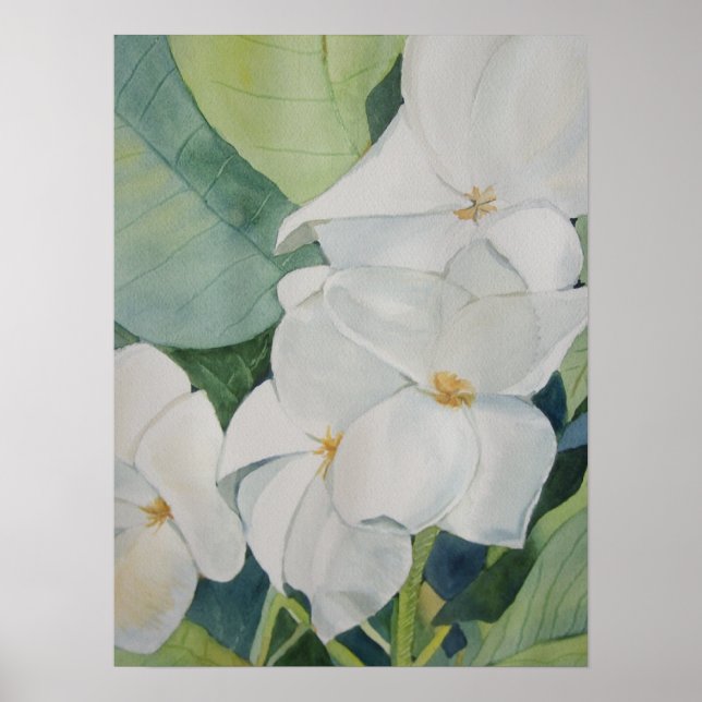 Magnolias Poster (Frente)