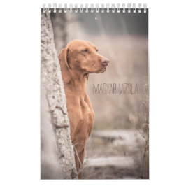 Magyar Vizsla cães calendários