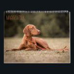 Magyar Vizsla cães calendários<br><div class="desc">Magyar Vizsla cães calendários</div>