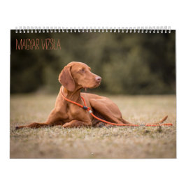 Magyar Vizsla cães calendários