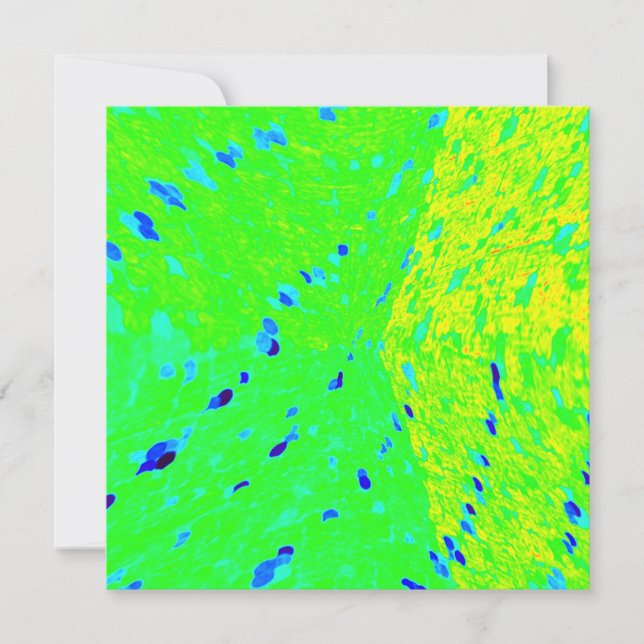 Mahi Mahi Dolphin Fish Art Colors (Frente)