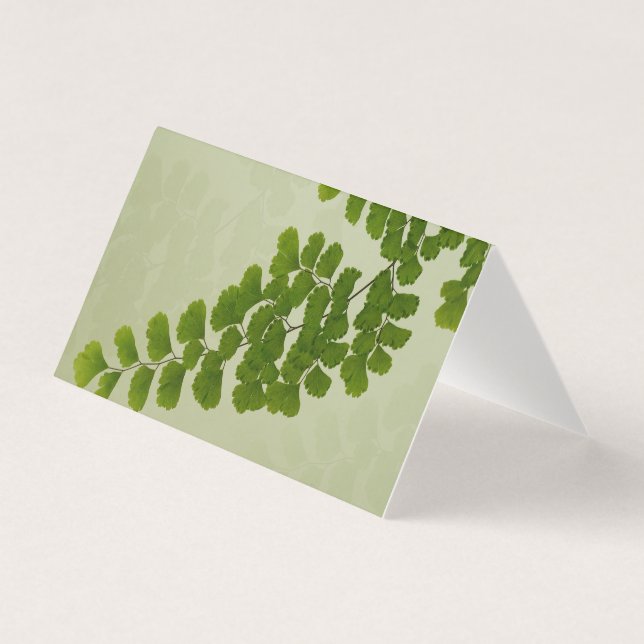 Maiden Hair Fern Frond (Frente)