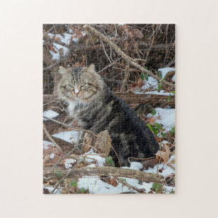 Maine Coon Cat em Forest Jigsera Quebra-cabeça