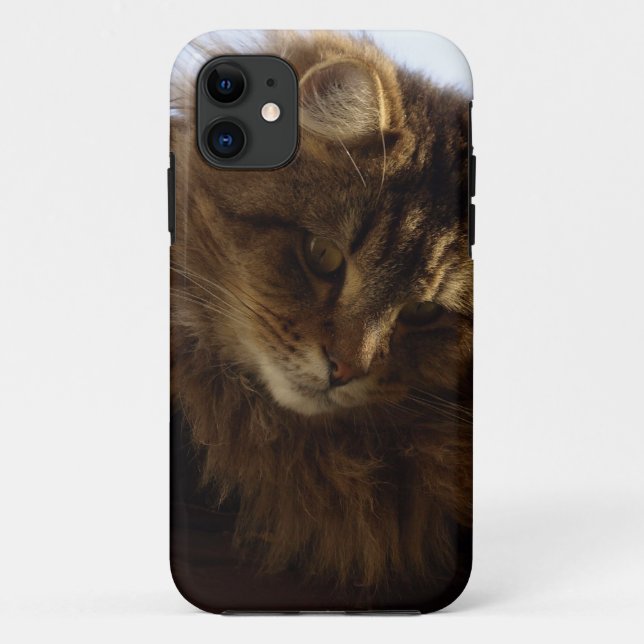Maine Coon Cat Pet Capa de telefone (Verso)