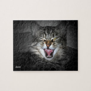 Maine Coon Cat Quebra-cabeça