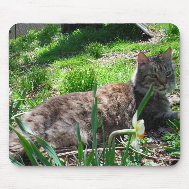 Maine Coon Mouse Pad (Frente)