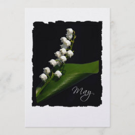 Maio: Lily of the Valley