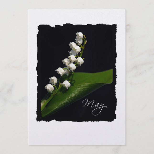 Maio: Lily of the Valley (Frente)