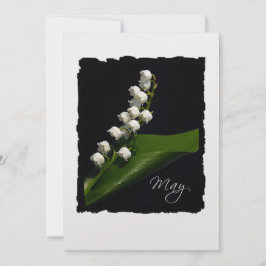 Maio: Lily of the Valley