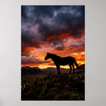 Majestic Horse Silhouette Sunset Poster | Luxury 