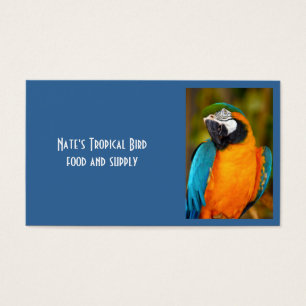 Majestpoderá Macaw