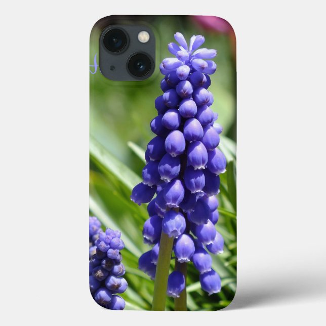 Mala iPad Muscari (Hyacinth de Uvas) (Verso)