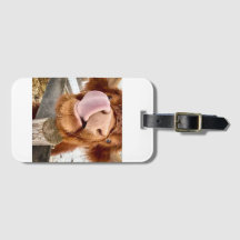 Malabarismo - Etiqueta de bagagem Daphne