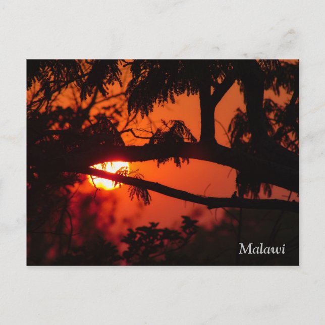 Malawi, cartão postal do pôr do sol na África (Frente)