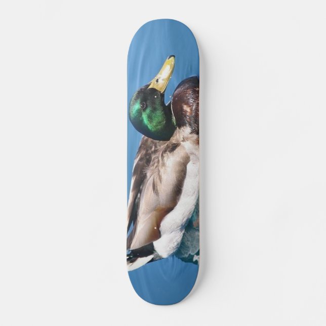 Male Duck Skateboard (Frente)