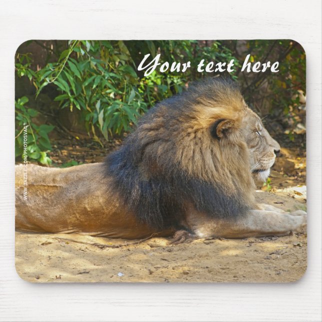 Male Lion Mousepad (Frente)