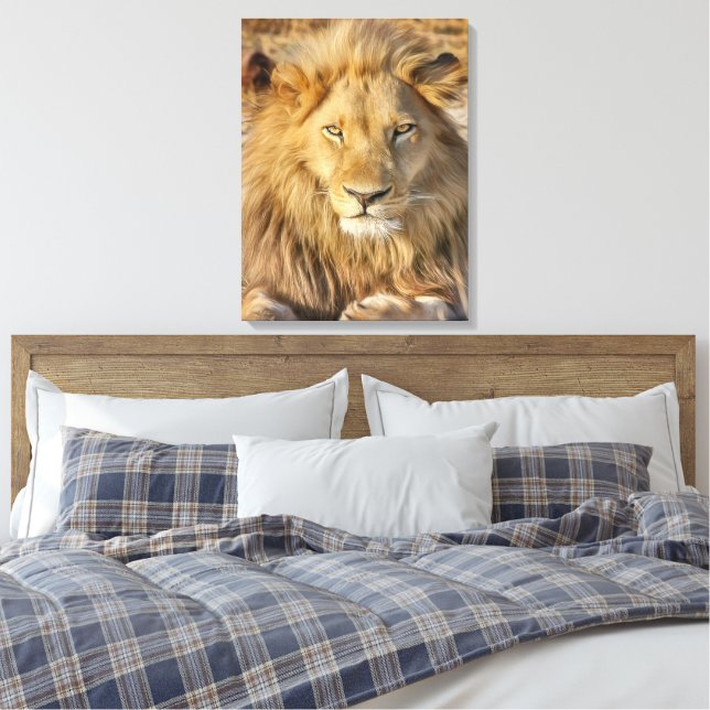 MALE LION STRETCHED CANVAS PRINT (Insitu(Quarto))