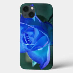 Maleta iPad de Rosa Azul Azul