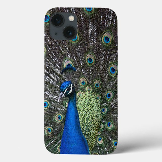 Maleta iPad Peacock (Verso)
