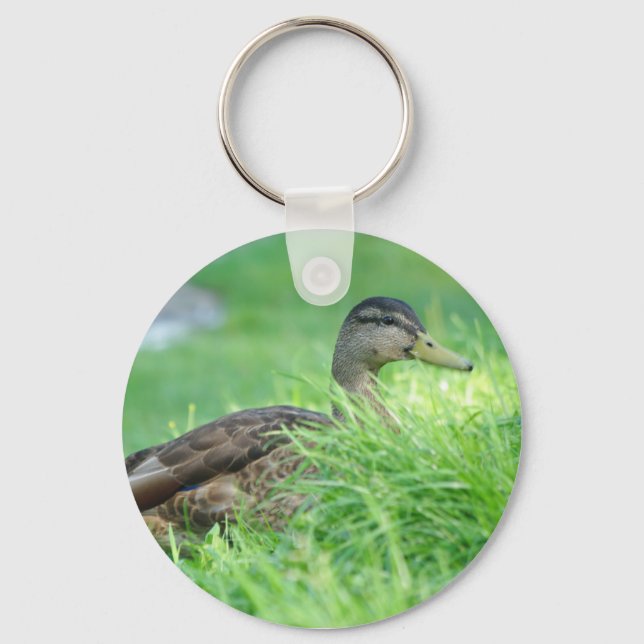 Mallard Chaveiro (Frente)
