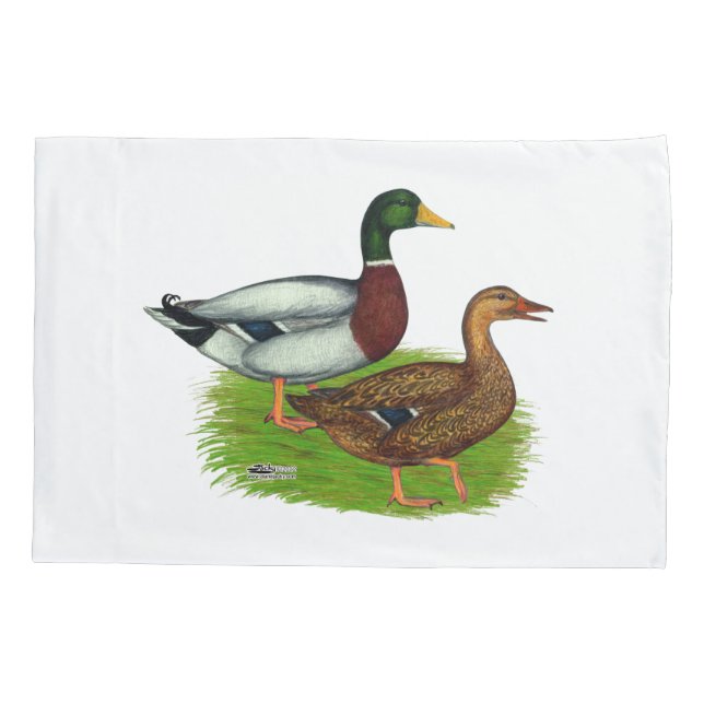 Mallard Drake e Duck (Verso)