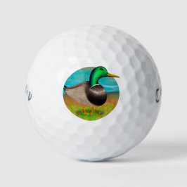Mallard Duck