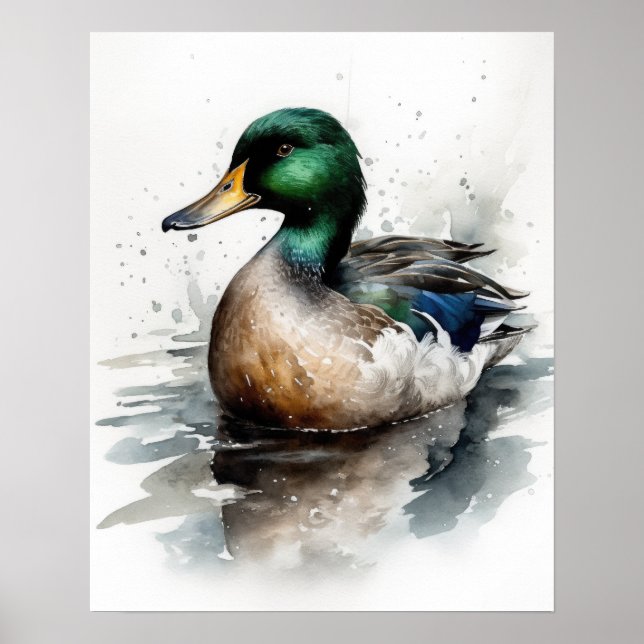 Mallard Duck Bird Art Poster (Frente)