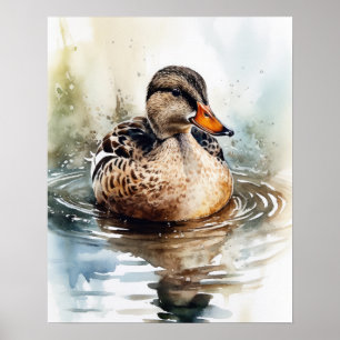 Mallard Duck Bird Art Poster